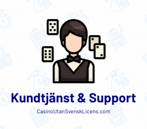 Kundtjänst & Support utan licens